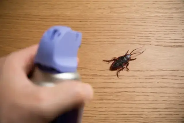 今すぐできるエアコンのゴキブリ対策