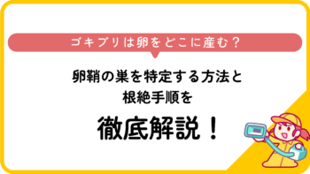ゴキブリは卵をどこに産む？卵鞘の巣を特定する方法と根絶手順を徹底解説！