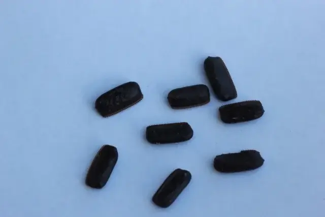 ゴキブリの巣を見つけるためのセルフチェック方法は？