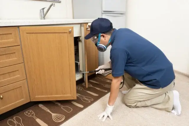 害虫駆除業者がゴキブリの巣を駆除する流れは？