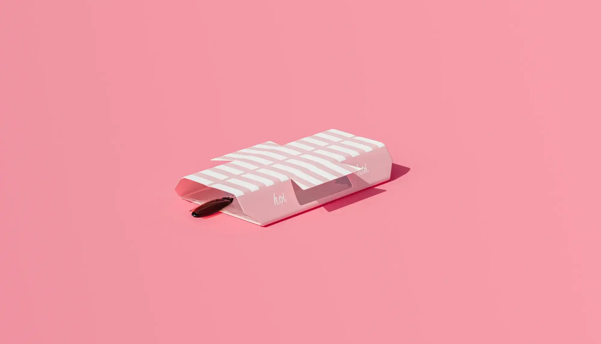 ゴキブリホイホイを置いたのに逆に増える？その理由と今すぐできる対処法