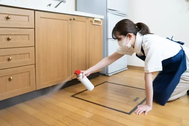今すぐできる応急処置とゴキブリを寄せ付けないための予防策
