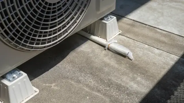ベランダのゴキブリが室内に入ってくることはある？侵入経路はどこ？