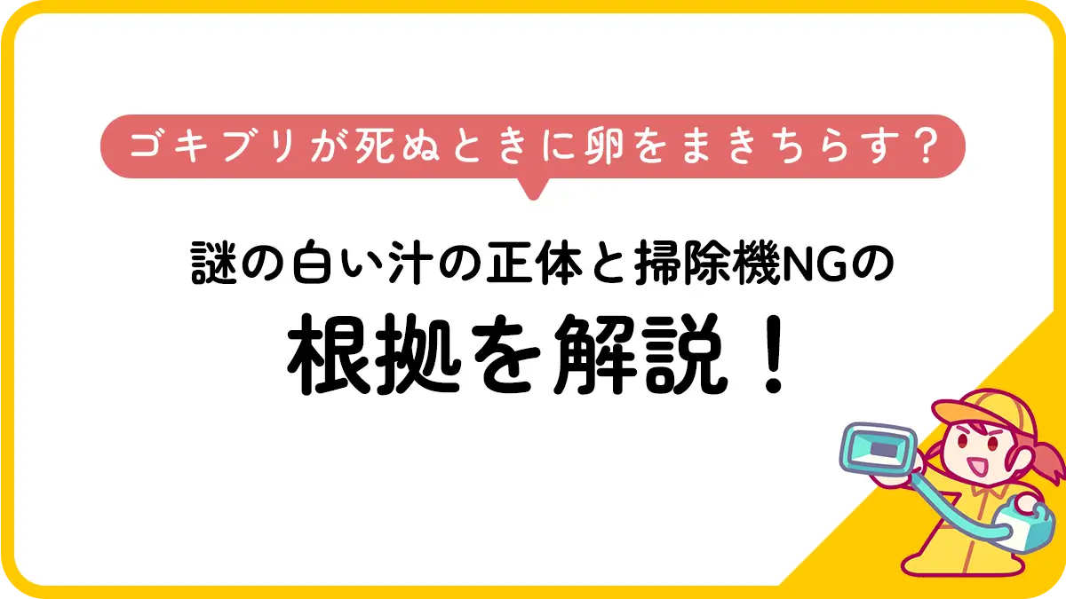 ゴキブリが死ぬときに卵をまきちらす？謎の白い汁の正体と掃除機NGの根拠を解説！