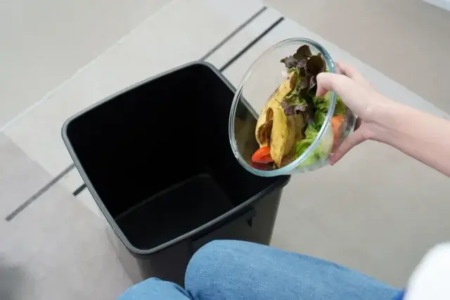 コンポストへのゴキブリを再び呼ばないための日常管理