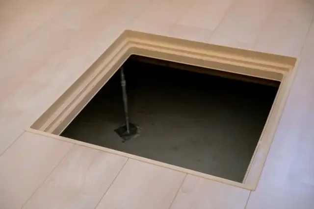 床下の害虫はどうやって確認すればいい?