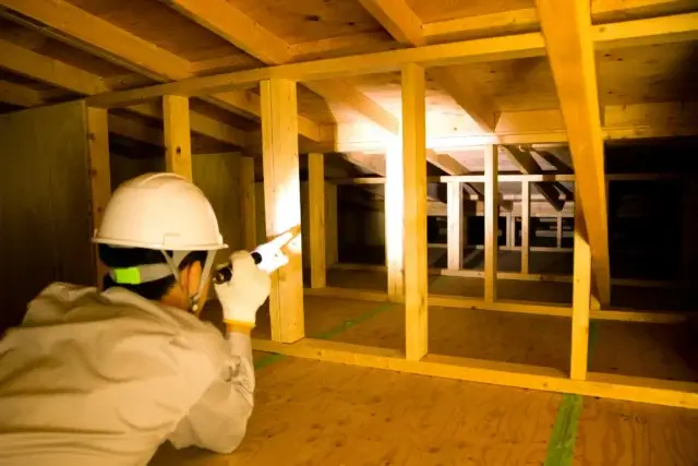 床下の害虫駆除業者はどう選べばいい?