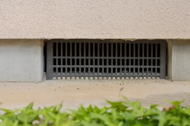 床下の害虫駆除後に再発を防ぐには何をすればいい?