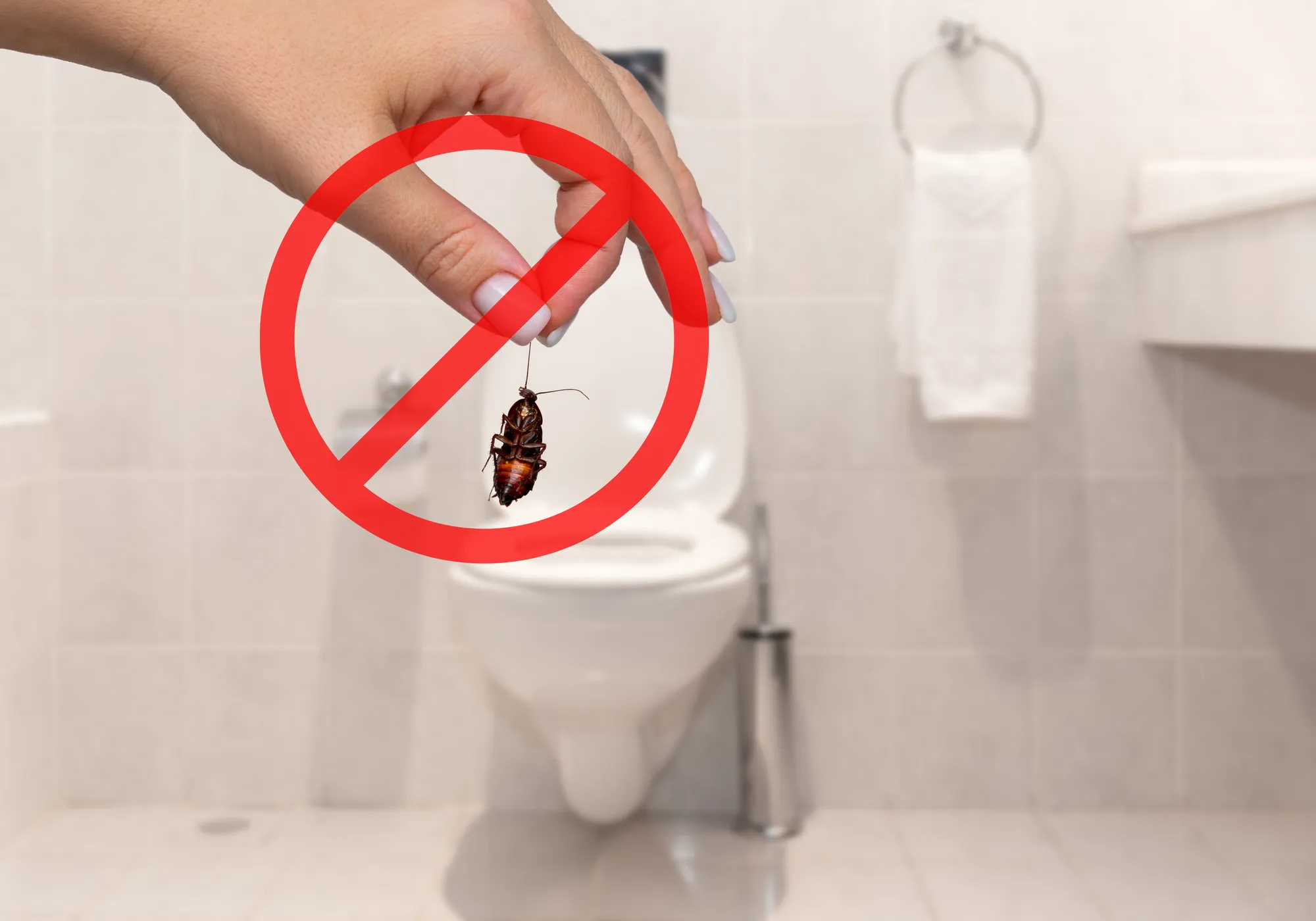 ゴキブリをトイレに流すのは絶対NG!正しい処理方法と再発防止策を専門家が解説