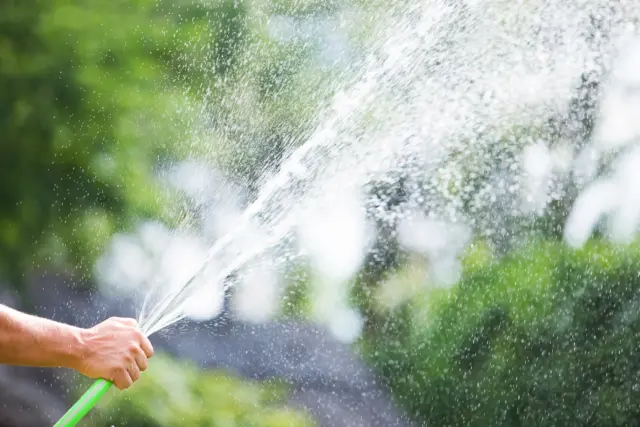 匂いより確実！蜂を寄せ付けない最強の予防策