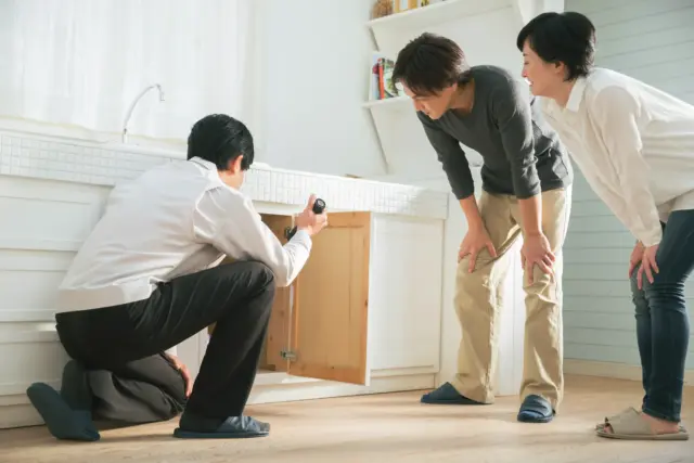信頼できる害虫駆除業者の選び方（悪徳業者に騙されないために）