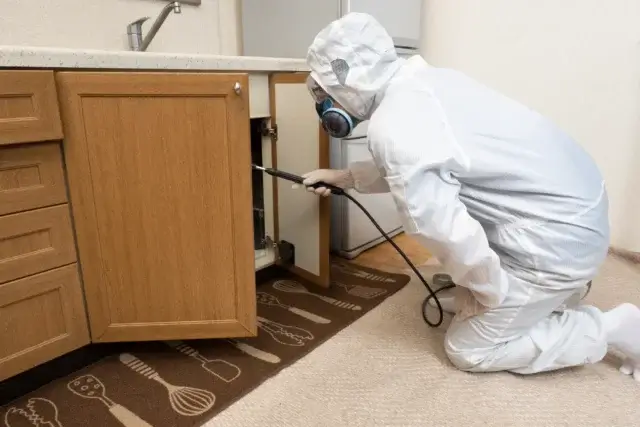 【結論】ゴキブリ駆除に最も効果的な時期はいつ?