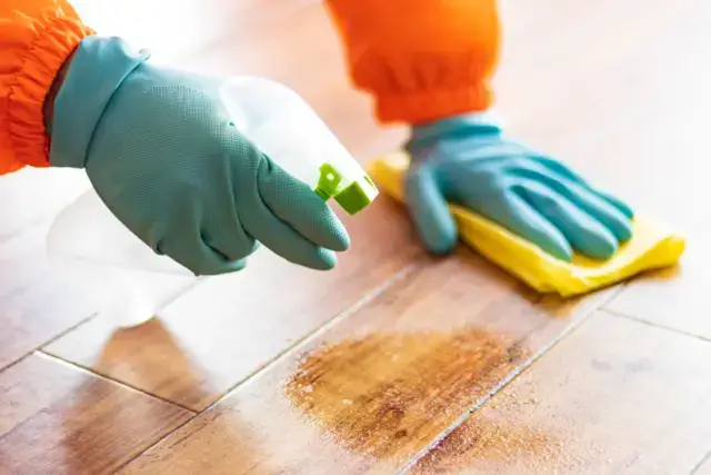 潰してしまった後のリカバリー！フェロモン除去掃除術