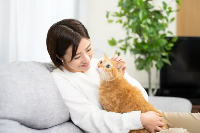 結論】蜂が嫌う匂いは予防には有効だが駆除はできないしリスクも