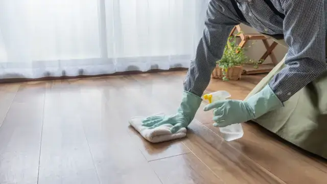 卵と死骸の完全撤去・処理マニュアル