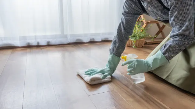 今すぐできる！安全・確実なゴキブリの処理方法
